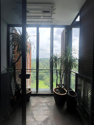 The Hillier (D23), Apartment #539972961